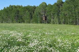 3007 59th St SE - Photo 30