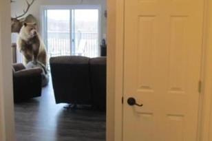 3007 59th St SE - Photo 20