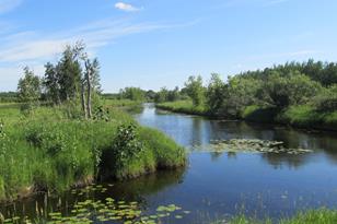 3007 59th St SE - Photo 44