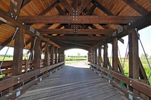 7681 Prairie Grass Pass - Photo 34