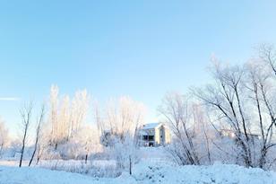 7681 Prairie Grass Pass - Photo 20