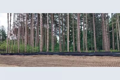 Lot 3 Dahlia Court, Isanti, MN 55040 - Photo 32