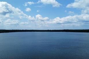 13339 Plott Rd - Photo 30