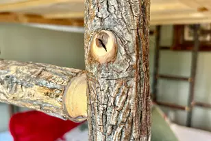 6940 Beach View Ln NW, Walker, MN 56484 - Photo 46