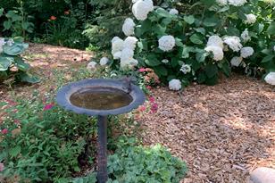 841 Great Oaks Trail - Photo 66