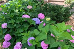 841 Great Oaks Trail - Photo 70