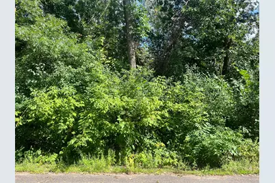 23Xxx 182nd Street, Big Lake, MN 55309 - Photo 2