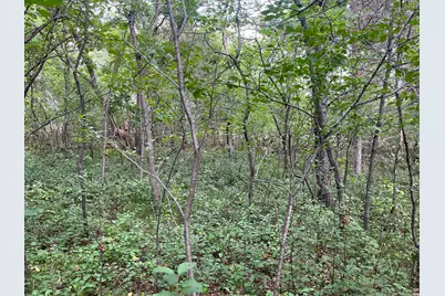 23Xxx 182nd Street, Big Lake, MN 55309 - Photo 6