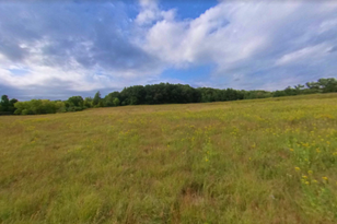 10710 Garden Cir, Minneapolis, MN 55438-2341