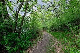 4862 Windsor Ct - Photo 24