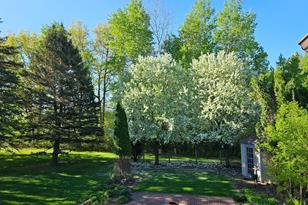 1009 Quail St - Photo 8