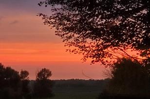 1009 Quail St - Photo 6