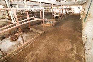 32496 421st St - Photo 38