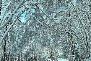 29490 442nd Pl - Photo 52