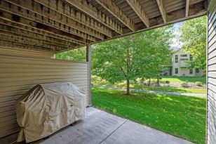 10141 Chestnut Cir N - Photo 46