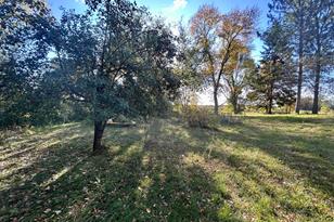 31507 710th Ave - Photo 6