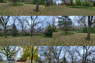 1020 2nd St N, Brownton, MN 55312