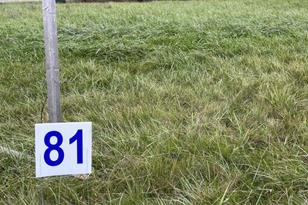 2117 Pleasant Dr, Prescott, WI 54021 - Photo 1