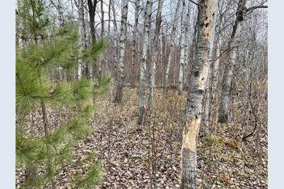 39Xxx Osage Drive, Browerville, MN 56438 - Photo 6