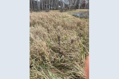 39Xxx Osage Drive, Browerville, MN 56438 - Photo 32