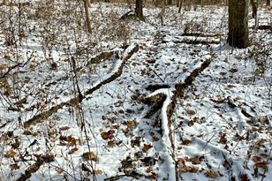 26140 Jack Pine Rd - Photo 8