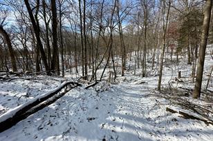 26140 Jack Pine Rd - Photo 14