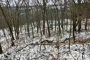 26140 Jack Pine Rd - Photo 6