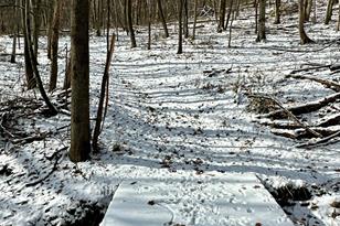 26140 Jack Pine Rd - Photo 16