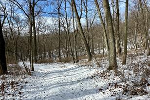 26140 Jack Pine Rd - Photo 12