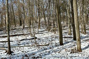 26140 Jack Pine Rd - Photo 30