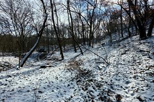 26140 Jack Pine Rd - Photo 28