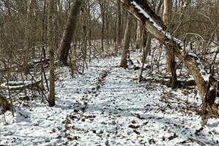 26140 Jack Pine Rd - Photo 10