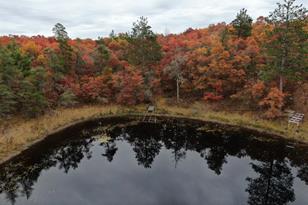 6984 E Boop Rd - Photo 10