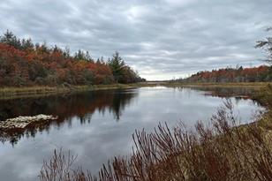 6984 E Boop Rd - Photo 60