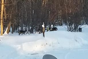 36346 State Hwy 11 - Photo 20