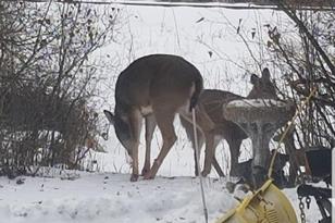 36346 State Hwy 11 - Photo 18