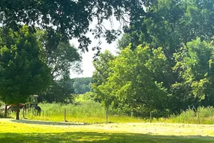 25427 260 St, Callaway, MN 56521 - Photo 24