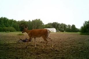 5449 104th St SW - Photo 20