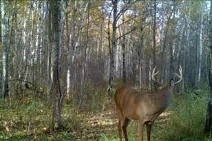 5449 104th St SW - Photo 22