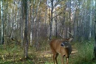 5449 104th St SW - Photo 24