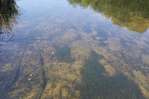 16019 Twin Bridge Dr - Photo 20