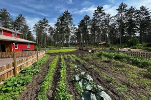 18508 Wilderness Dr - Photo 4