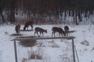 928 110th St - Photo 30