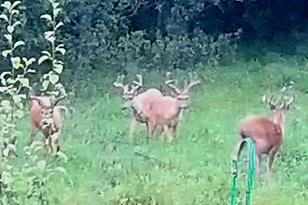 928 110th St - Photo 28