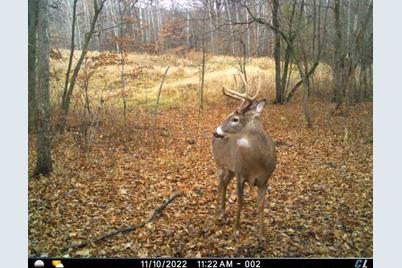 7243 Hazelwood Avenue, Webster Township, MN 55057 - Photo 90