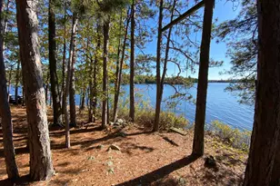Lots 3 & 4 Wakemup Narrows N, Beatty Twp, MN 55771 - Photo 22