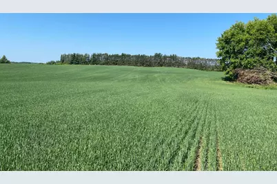 2535 Pioneer Trail, Medina, MN 55340 - Photo 8