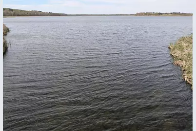 14413 Blueberry Bridge Road, Menahga, MN 56464 - Photo 2