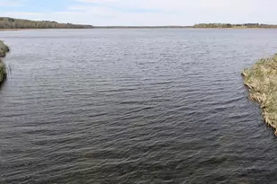 14413 Blueberry-Bridge Rd, Menahga, MN 56464 - Photo 2