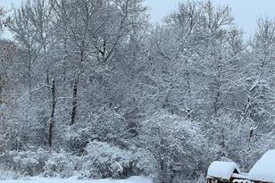 190 139th Ave NW - Photo 66